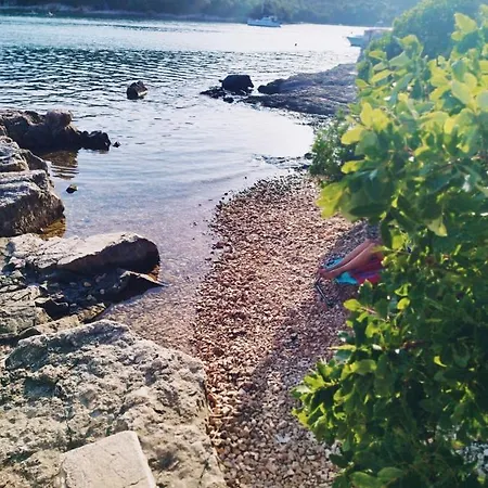 Dalla Rossa Daire Krnica