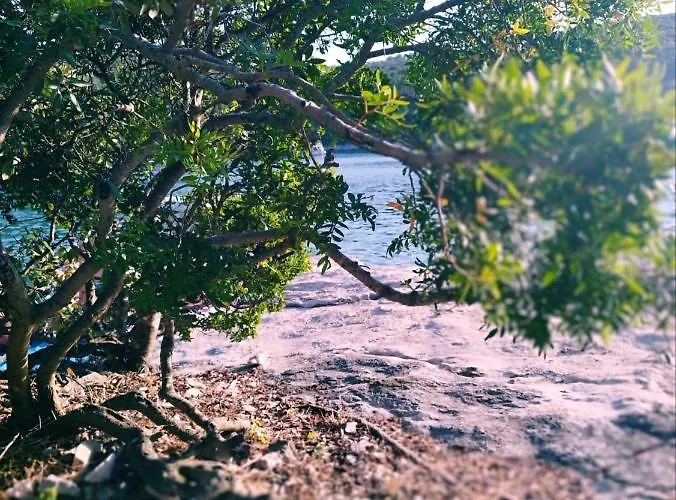 Apartment Dalla Rossa